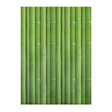 PAPEL DE PAREDE 45X1000CM BAMBU CT2379