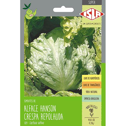 alface-hanson-crespa-repolhuda_500_500-45088