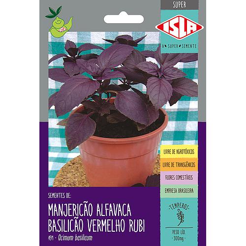 manjericao-alfavaca-basilicao-vermelho-rubi_500_500-46765