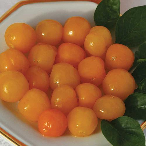 pimenta-bode-amarela-arari_500_500-57694