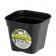 VASO QUAD. P/ SUCULENTA PRETO 170 ML - AVULSO