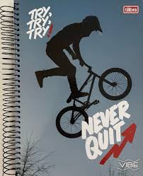 CAD CD UNIV VIBE MASC 12M 192F