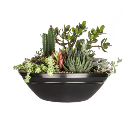 TACHO TERRARIO 12,5 LITROS - PRETO