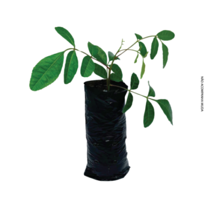 *SACO P/ MUDAS 15X25CM 50 MICRAS LUKPLAST