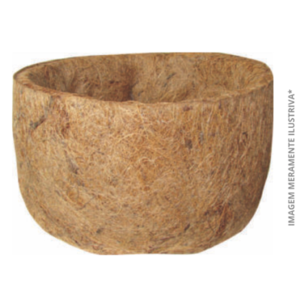 CJ VASO DE COCO 133